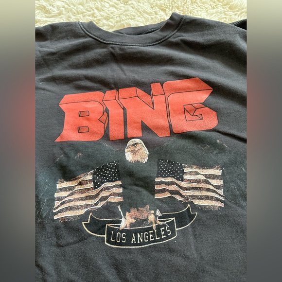 NWOT Anine BING Vintage eagle washed cotton Sweatshirt (Size large) - Picture 10 of 10